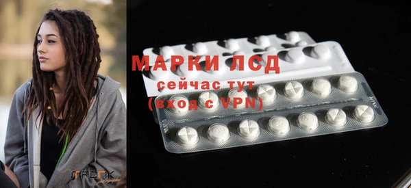 индика Новокубанск