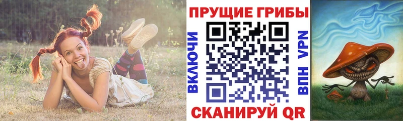 нарко площадка официальный сайт  Павлово  Галлюциногенные грибы мухоморы  где найти наркотики 